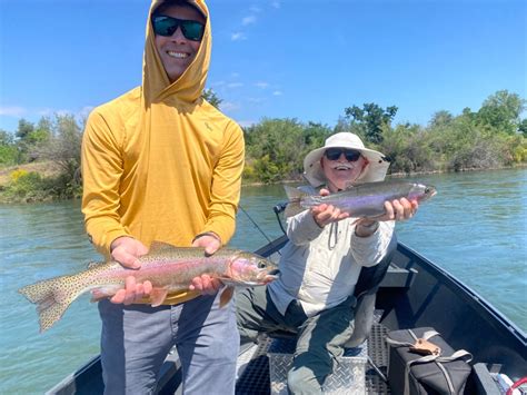 fishing report sacramento river|fish sniffer fishing reports.